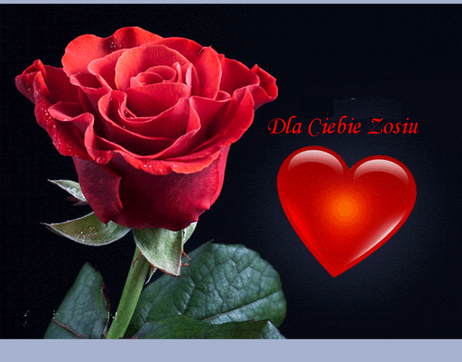 Szlachetna przesłanka