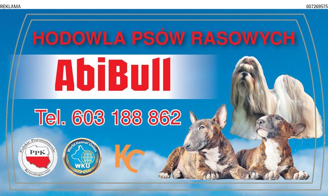 Hodowla Psów Rasowych AbiBull