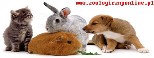 www.zoologicznyonline.pl