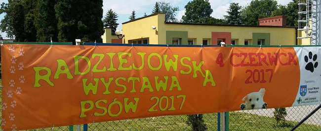 Wystawa psów na Dzień Dziecka w Radziejowie