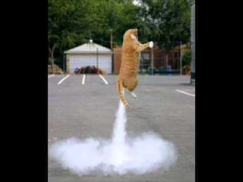 NIE ŻYJ TAK JAKBY TO BYŁ TWÓJ OSTATNI DZIEŃ ŻYCIA