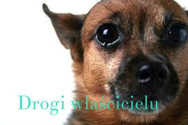 Smutne lecz prawdziwe