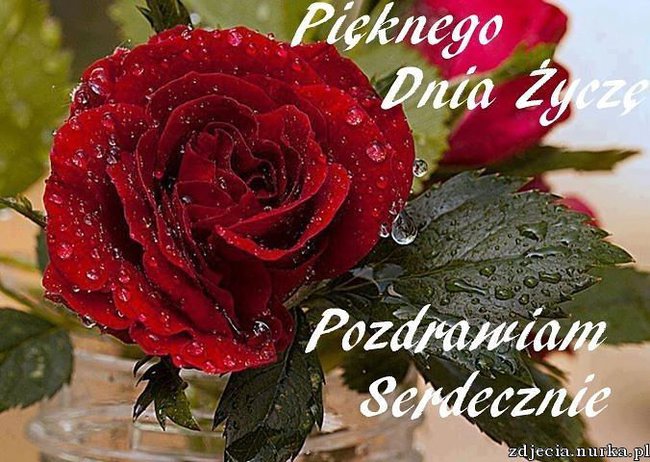 POŻEGNANIE WSPOMINANIE - PIĘKNYCH  MARZEŃ