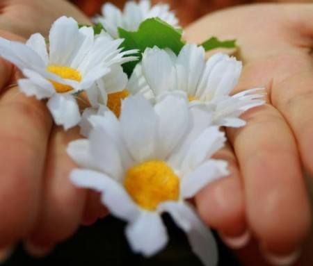 W  dniu urodzin IVET (Iwonki....mojej.....z G+)