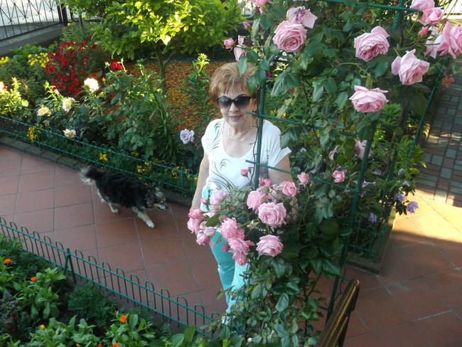 LATO W MOIM OGRODZIE ....i nie tylko...