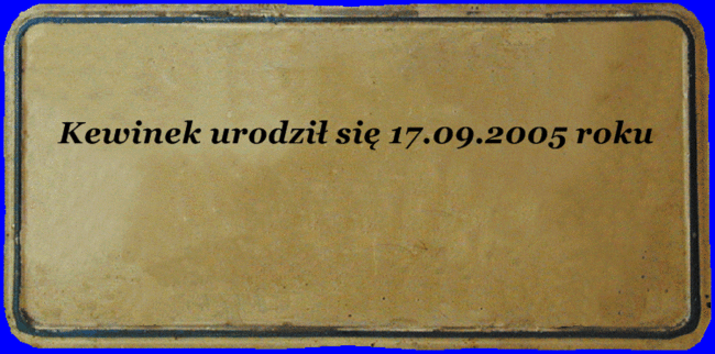 Masz dobre serce- przekaz 1% Kewinkowi