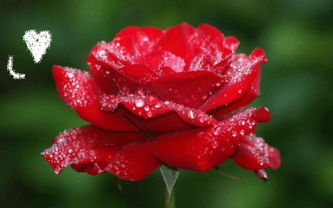 Zagrajcie mi przyjaciele-Kapela Górole