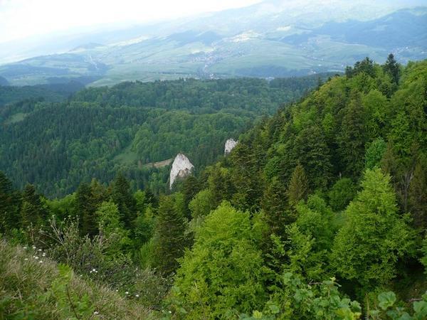 PIENINY