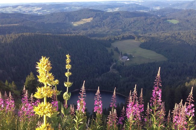 Wspomnienie Feldberg