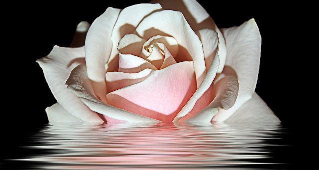 UROCZEGO WIECZORKU KOCHANI 