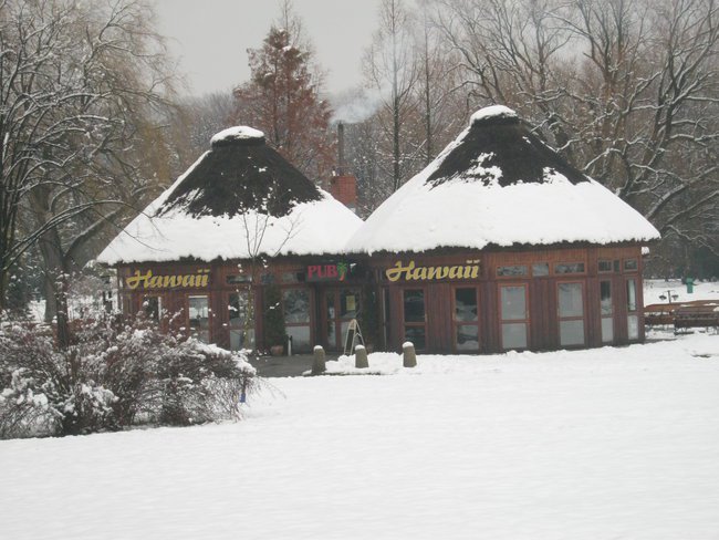 Zawitała zima --Park Ślaski w Chorzowie