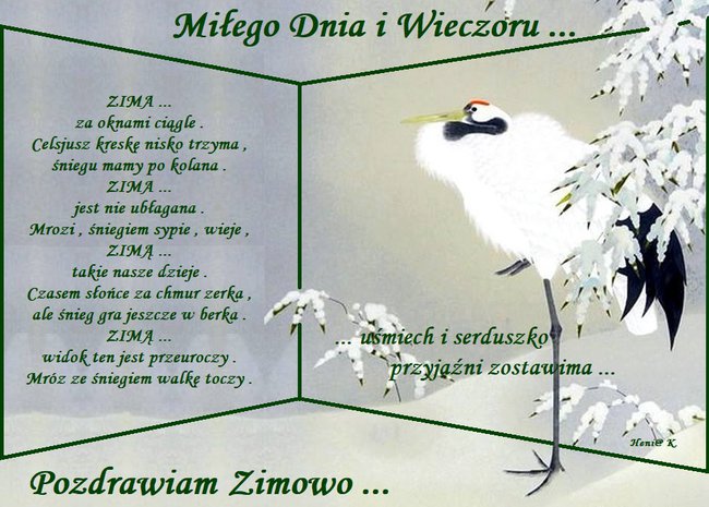 Zimowo