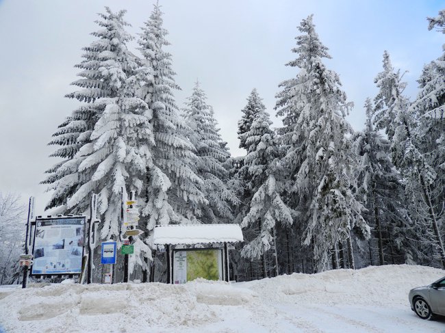 Dwa Maki na śnieżnym szlaku