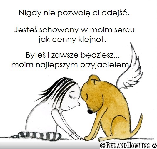 Nigdy nie pozwolę ci odejść