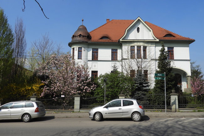 Cieszyn w kwiatach magnolii