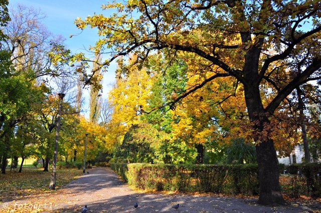 Jesień idzie przez park