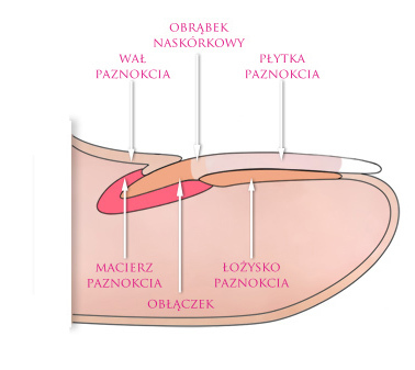 Manicure Klasyczny