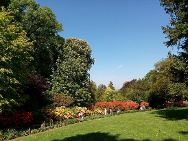 Arboretum Wojsławice 19 maj 2019