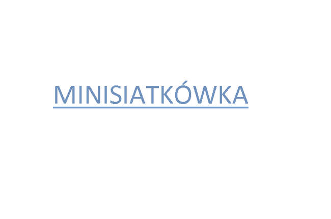 minisiatkówka