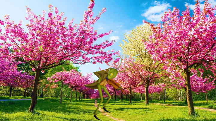 NIE ZWYCZAJNIE - 2025