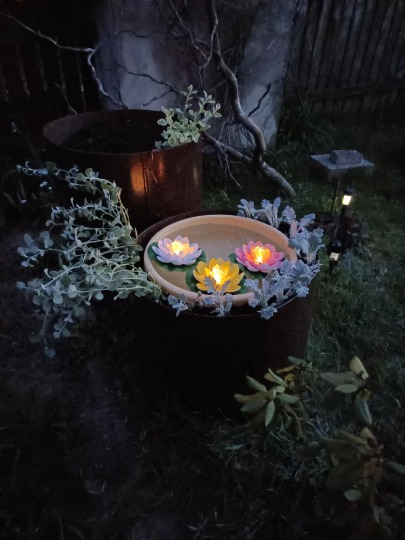 Wakacje u babci i dziadzia...