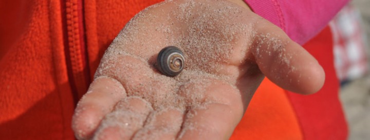 5 października niedziela