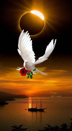 [POZDRAWIAM SERDECZNIE ŻYCZĘ SPOKOJNEGO SNU]