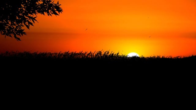  POZDRAWIAM WIECZOREM 