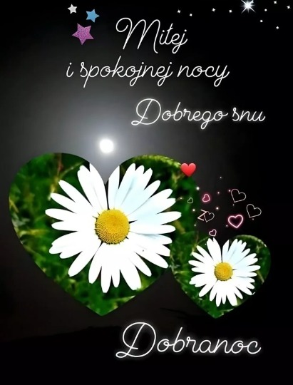 Dobrej nocki życzymy