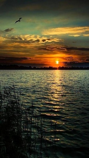 III   Bądź zawsze uśmiechnięta,   