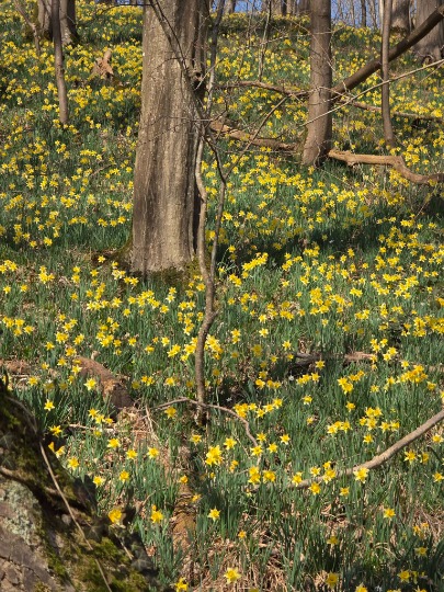 Aachen 8 marzec 2026