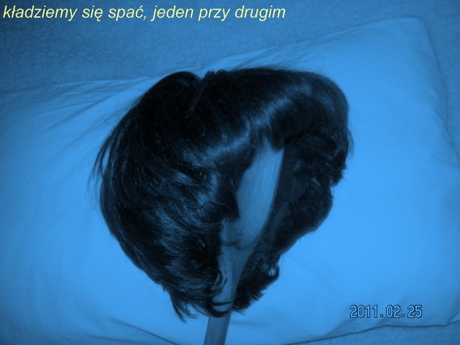 Jeden dzień z życia włosów