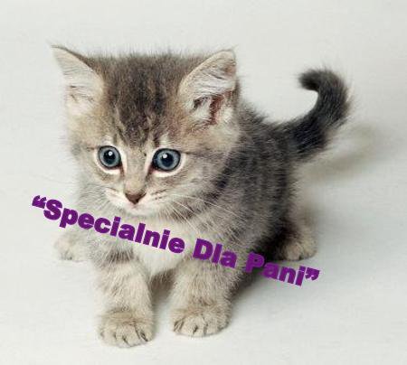 Specjalnie Dla Pani