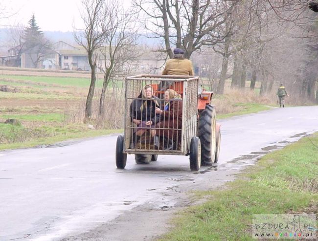 Udanej zabawy  wszystkim znajomym  życzę