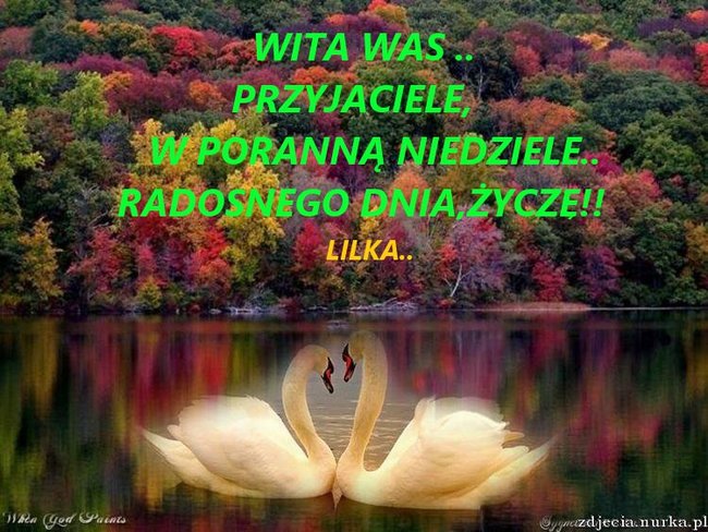 Wspaniałej Niedzieli Kochani Przyjaciele!! Z NK.. Coś Na Wesoło Dla Was Dzisiaj!!!!..Mam Nadzieję że Będziecie Zadowoleni..