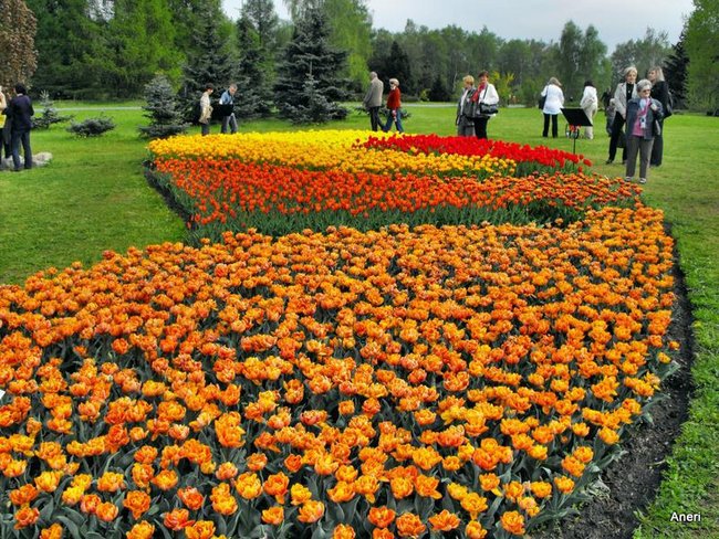 OGRÓD BOTANICZNY