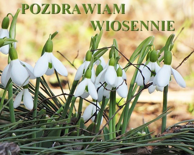 Pozdrawiam Wiosennie :)