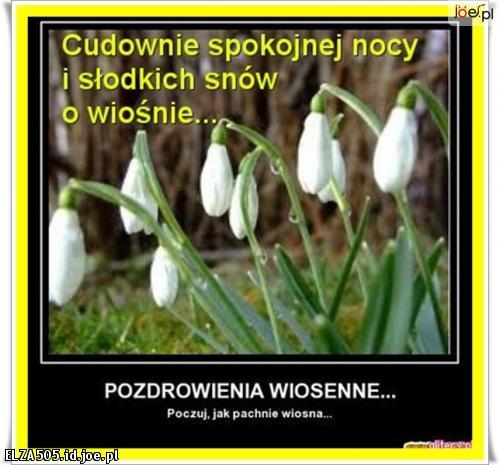 wiosenna miłośc