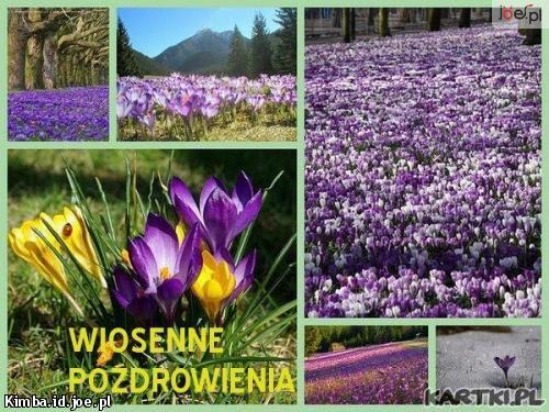 WIOSENNE POZDROWIENIA