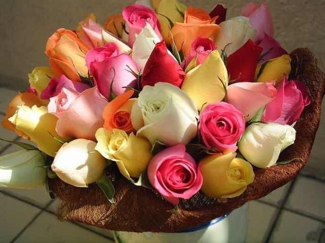 Tam gdzie słońce - szczęscie sprzyja... rośnie dobro ... Łączy Przyjażń..