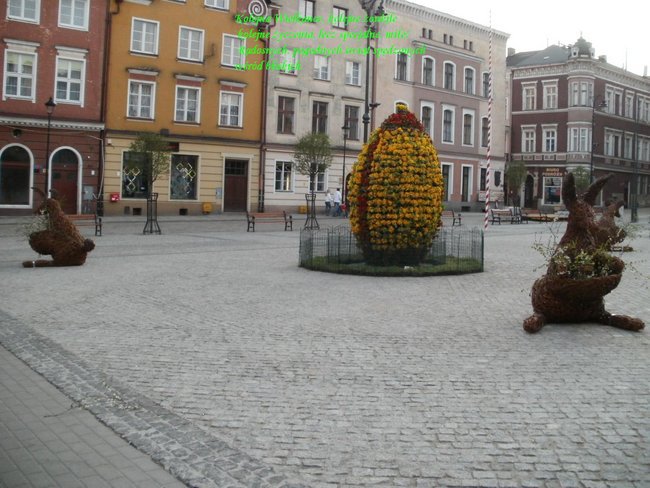 Kolejna Wielkanoc, kolejne żonkile   kolejne życzenia, lecz specjalne, miłe!   Radosnych, pogodnych świąt spędzonych wśród bliskich.