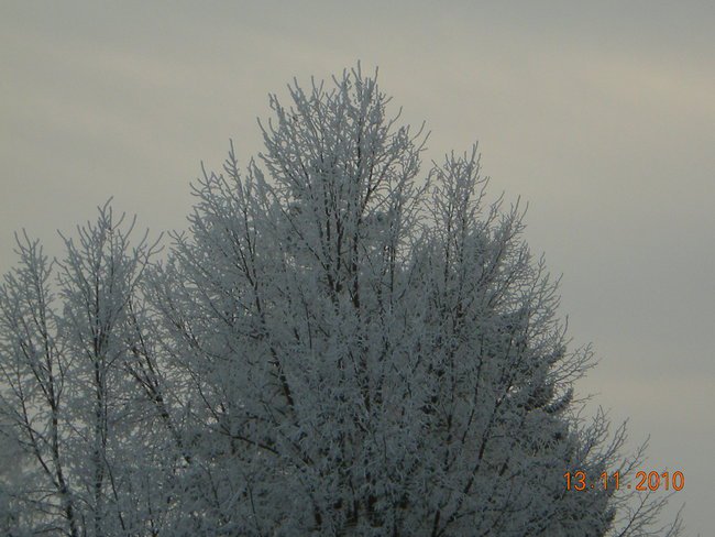 Winter 2010