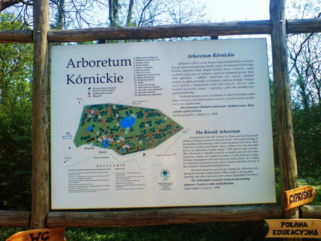 Arboretum w Kórniku