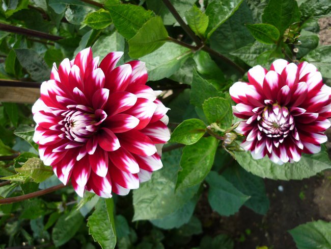 mój pierwszy slajdzik